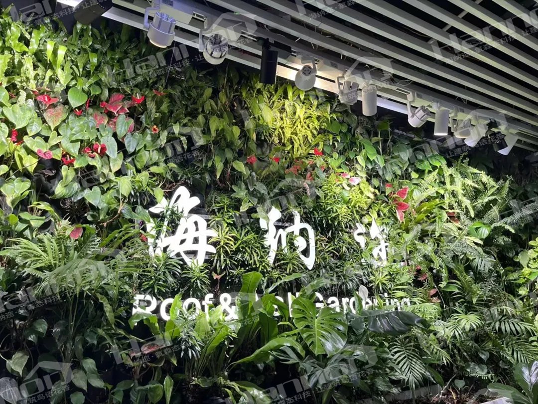 碳中和下的创业新风口·LEHU乐虎氧森态空间打造