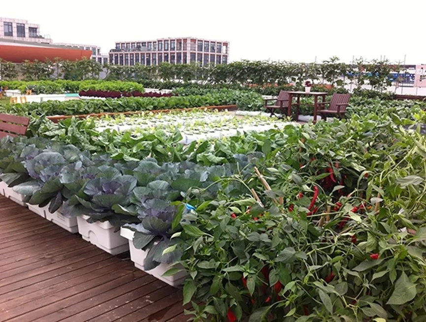 wKj0iWKq0iCAdTHQAAaYJwKdg0Y337