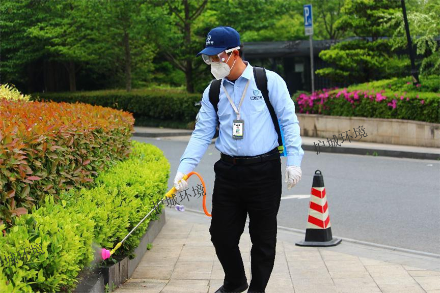 進行綠化帶消殺