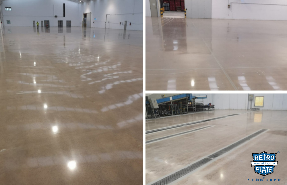 RP 德國(guó)SANCHO&CIA2+水印.png