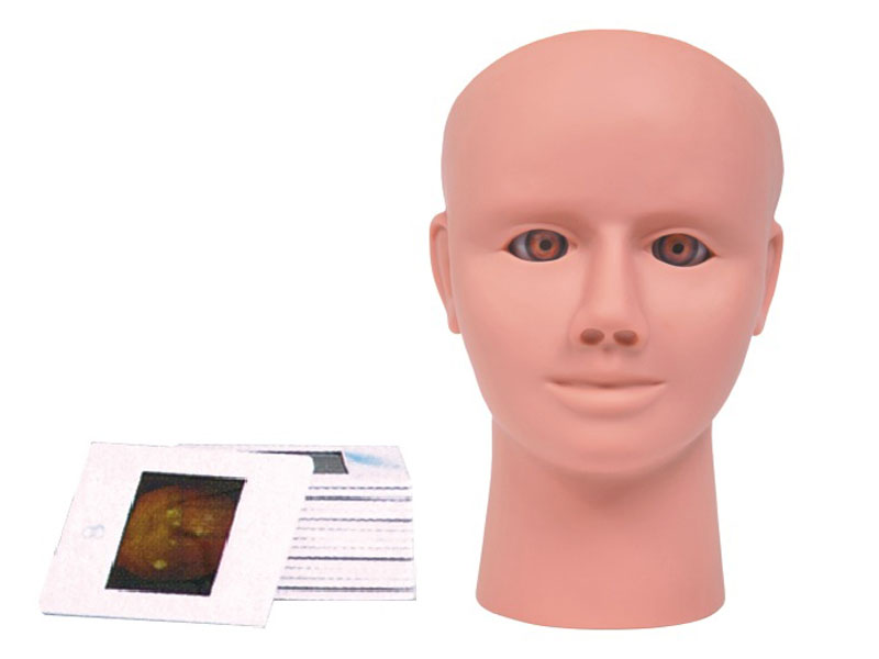 高級眼內視網(wǎng)膜病變檢查模型.jpg 高級眼內視網(wǎng)膜病變檢查模型.jpg