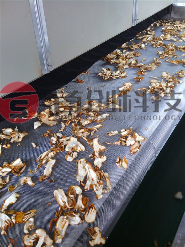 佛手柑烘干設(shè)備_佛手片干燥設(shè)備_佛手定制烘干機(jī)