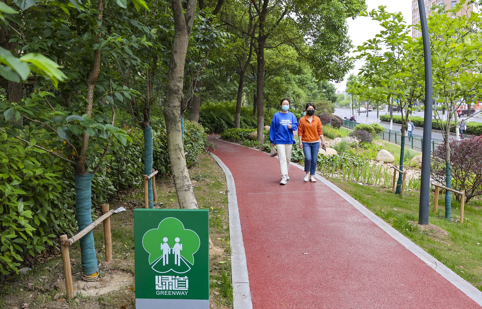 ⑤南京雨花臺區岱山片區彩色防滑綠道.jpg