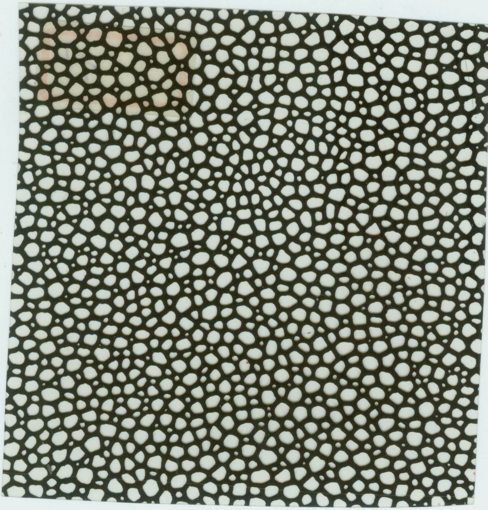 皮紋輥