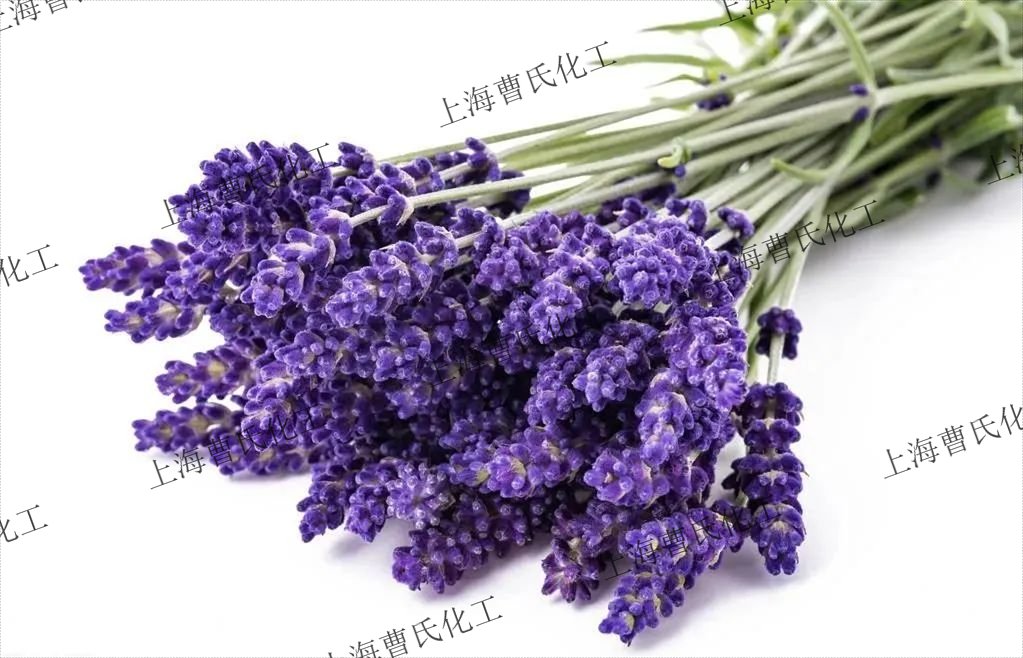 薰衣草.jpg