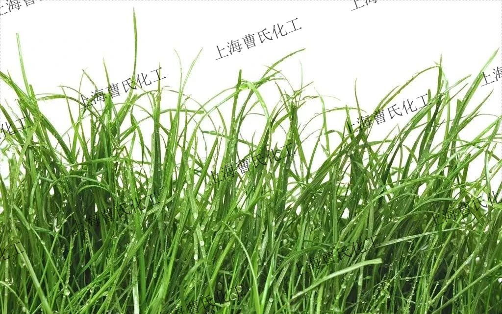 青草香.jpg