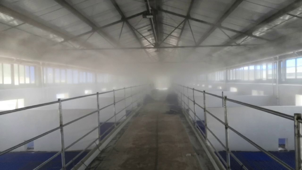 香港全年最全免费资料大全