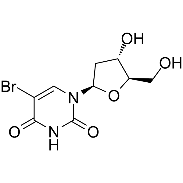 5-BrdU (5-溴脫氧尿嘧啶核苷)
