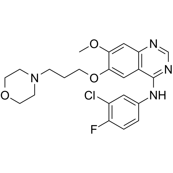 Gefitinib (吉非替尼)