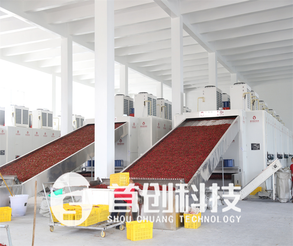 鮮辣椒烘干設(shè)備-連續(xù)式辣椒烘干機(jī)-辣椒干燥機(jī)械設(shè)備