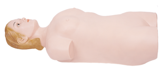 數字遙控式腹部觸診模擬人.png 數字遙控式腹部觸診模擬人.png