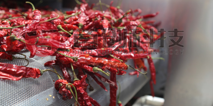 食用辣椒批量干燥，可以采用網(wǎng)帶式辣椒烘干機(jī)嗎？