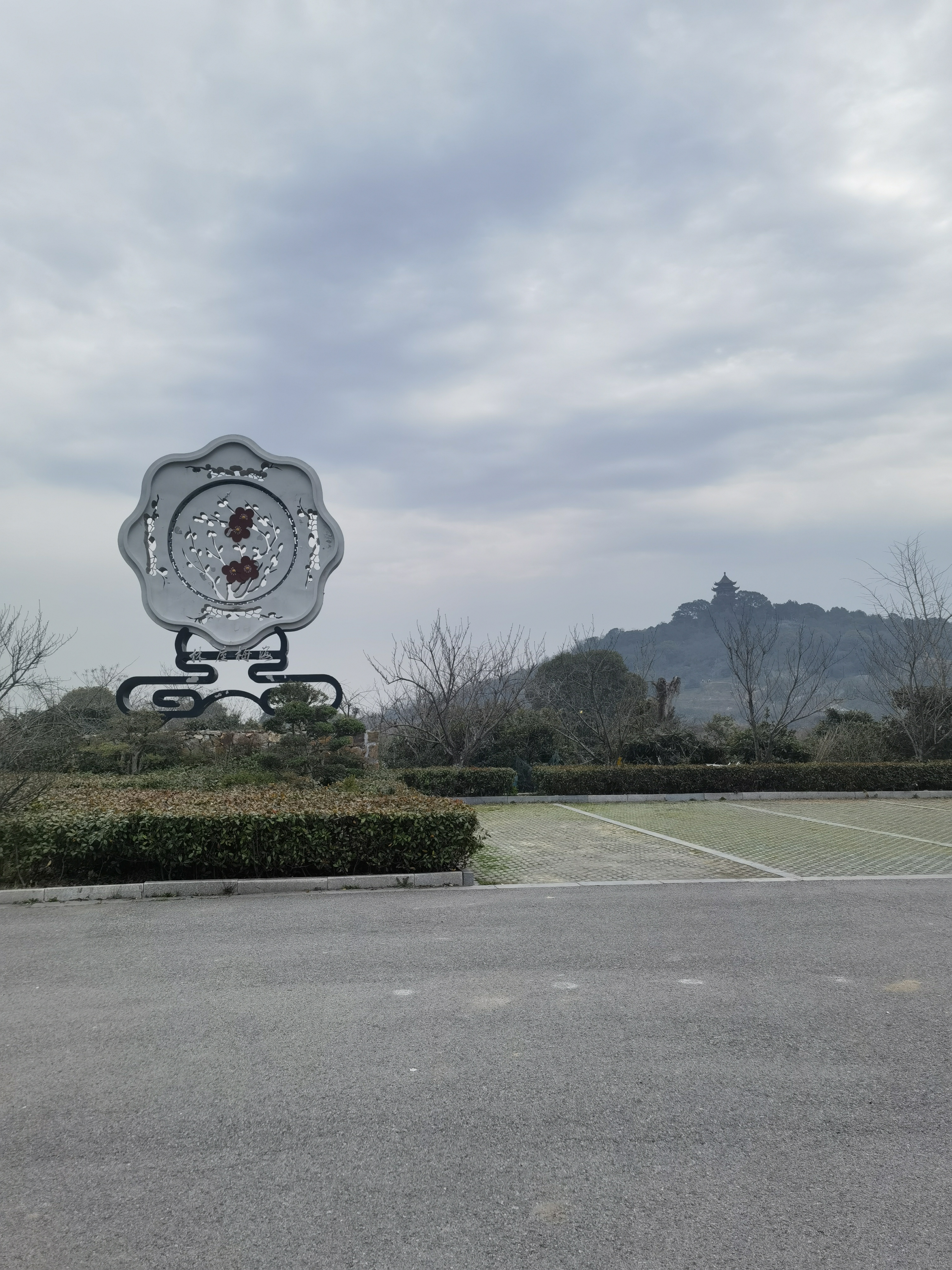 IMG_20230308_110655.jpg