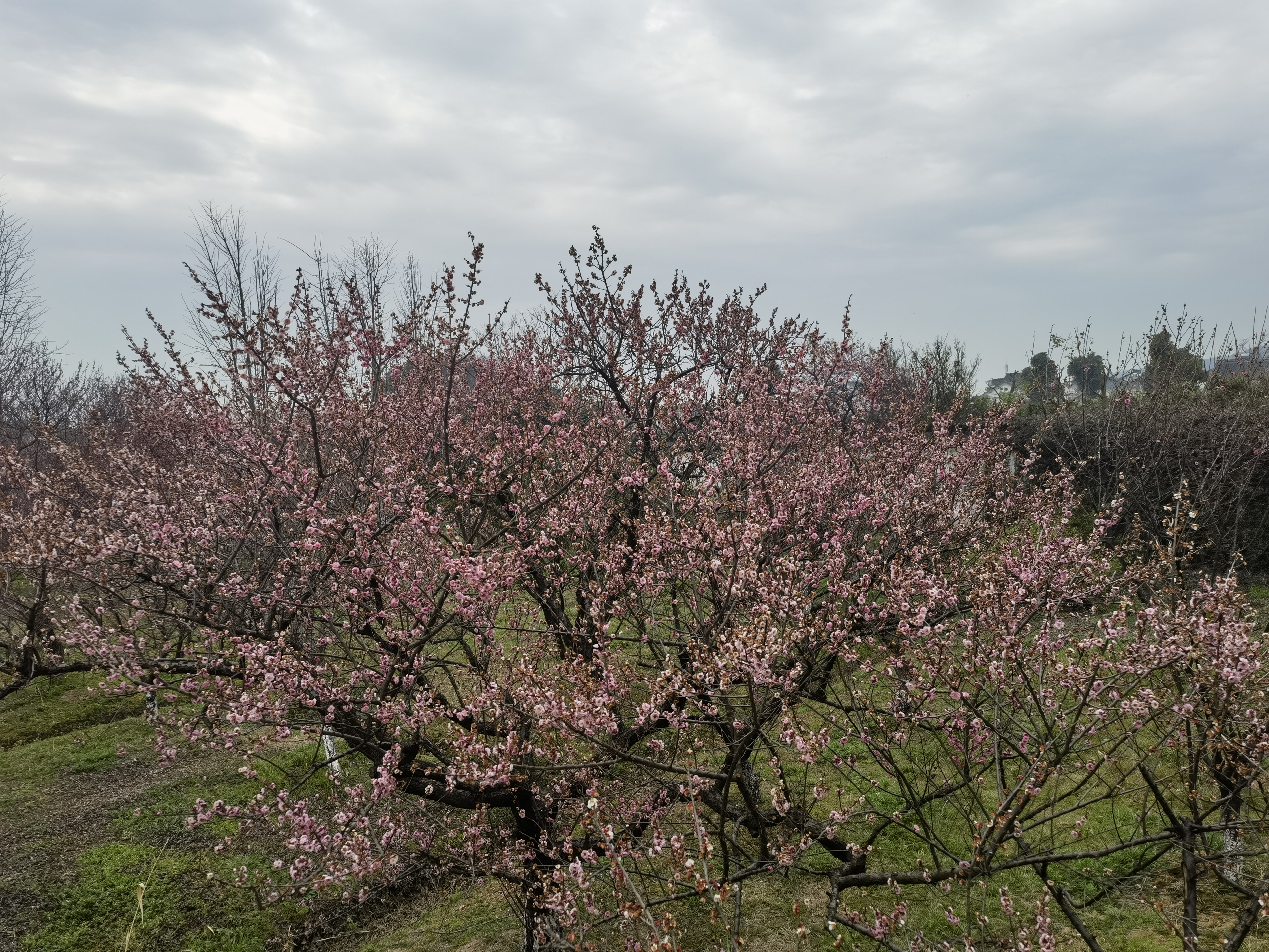 IMG_20230308_111048.jpg