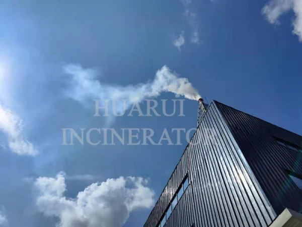 Is Pyrolysis the Future of Solid Waste Disposal?