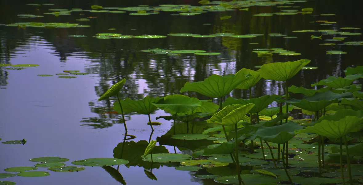 3eee5c367bdc3f45b195aa9a386ea8e.png 3eee5c367bdc3f45b195aa9a386ea8e.png