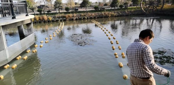 新型光催化材料