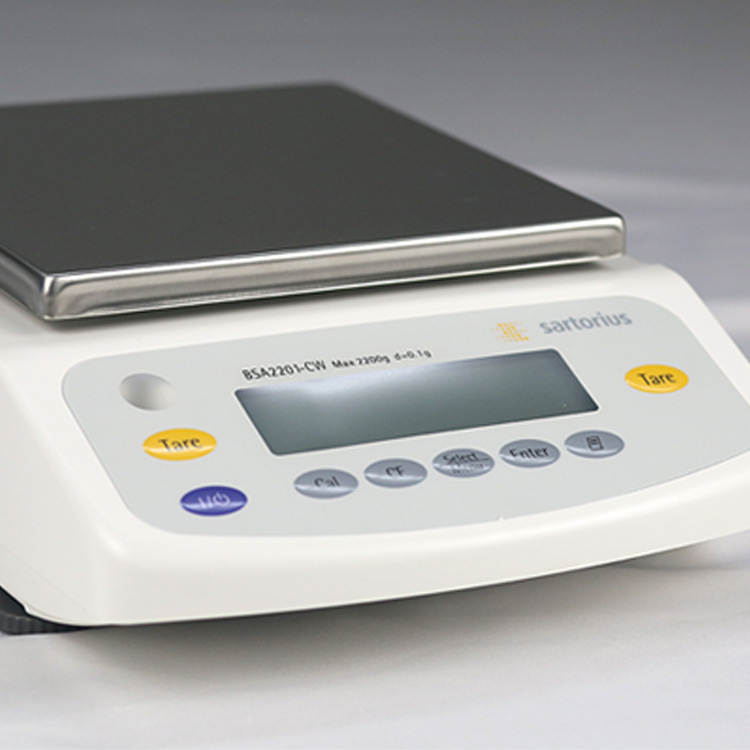 BSA6202S-6200g/0.01g