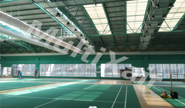 武漢金銀湖體育館.png