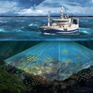 Olex Seapix 3D 聲吶