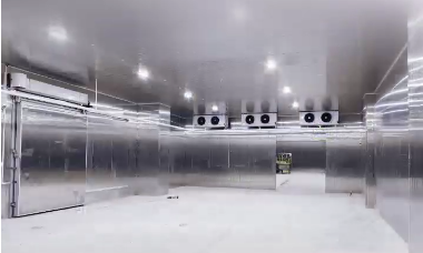 特種冷藏庫(kù)房