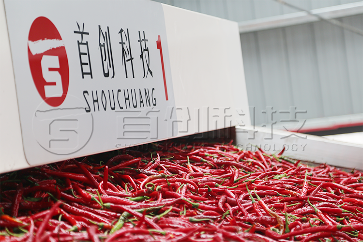 辣椒干燥設(shè)備.png