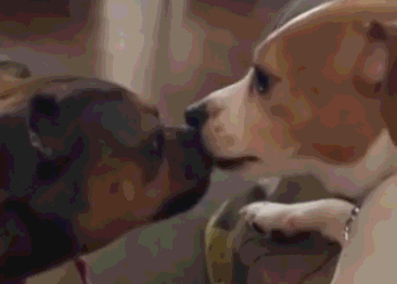 640.gif