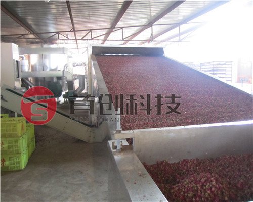 鮮花烘干機(jī)_全自動(dòng)鮮花烘干設(shè)備_源頭廠家