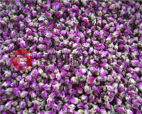 鮮花烘干機(jī)_全自動(dòng)鮮花烘干設(shè)備_源頭廠家