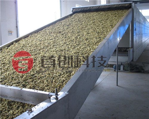 菊花烘干機(jī)-連續(xù)式菊花干燥設(shè)備-菊花定制烘干機(jī)械