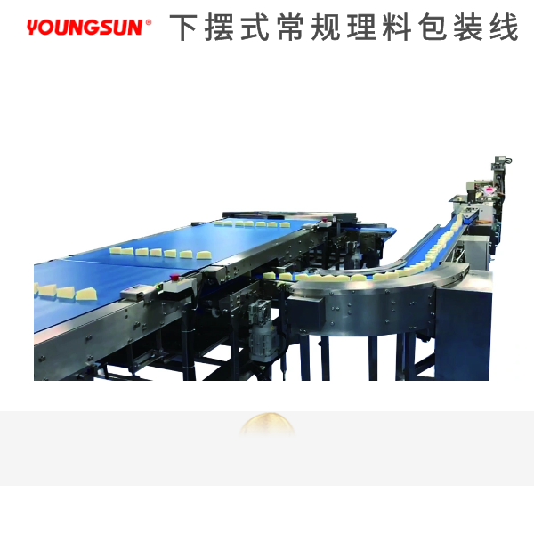 下沉式自動(dòng)理料線