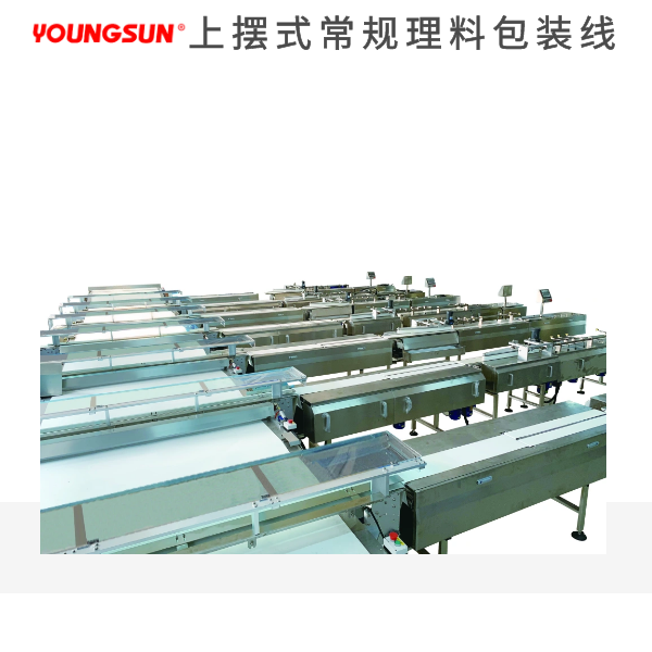 上擺式常規(guī)理料包裝線