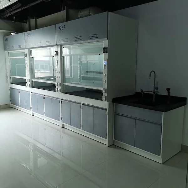 全鋼通風(fēng)柜/通風(fēng)房