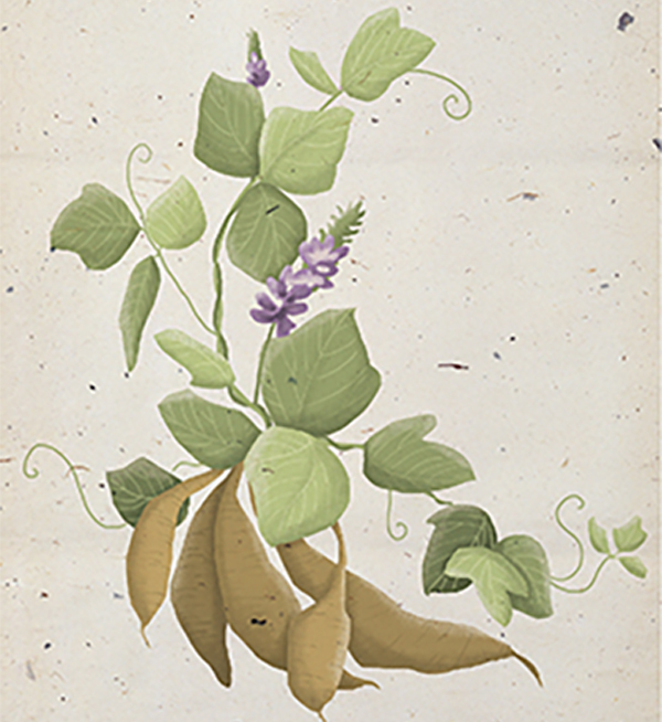 中藥現代化的觀點