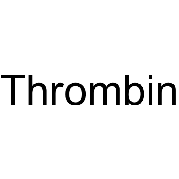 Thrombin (MW 37kDa) (凝血酶)