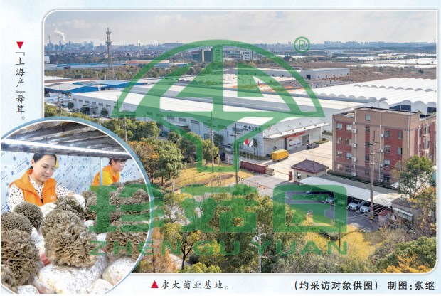 永大菌业基地.png