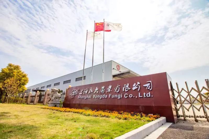 转载 | 上海农业科技“小巨人”摘得菌菇种业“金果子”，攻克“种子芯片”做厚农村土地亩产