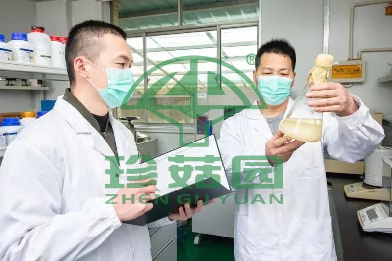 永大菌业工作人员.jpg