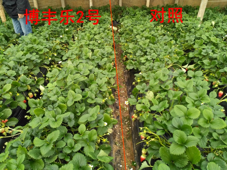圖片2.png 圖片2.png