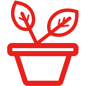 培訓項目十七：中藥材種植班：種植班，泡制班，加工班