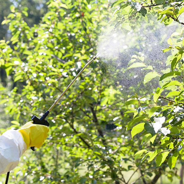 77%硫酸銅鈣可濕性粉劑農(nóng)藥進口清關