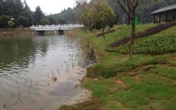 水體污染治理與生態修復-生物水質凈化技術