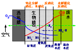 水體污染治理與生態修復-河道污水生物膜治理技術