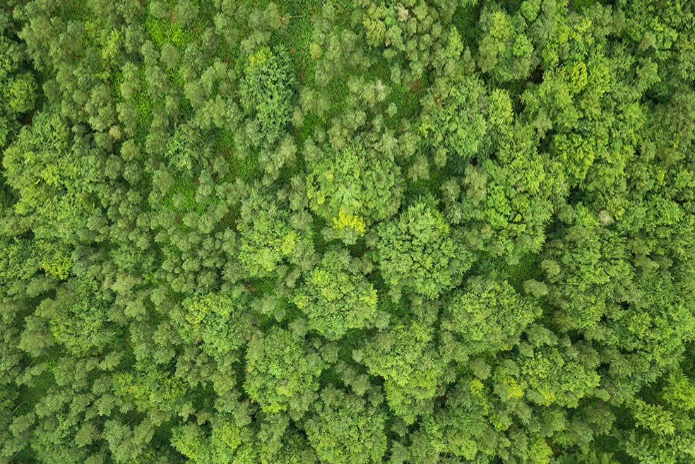 新勢力：多個行業向碳減排和碳吸收綠色農業方向發展