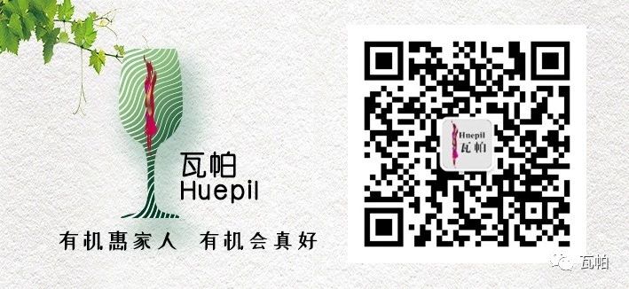 紅酒廠(chǎng)家