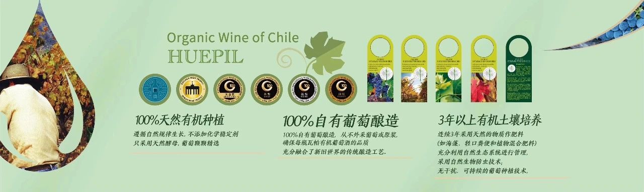 紅酒廠(chǎng)家