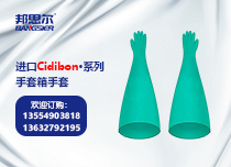 進(jìn)口丁腈橡膠手套