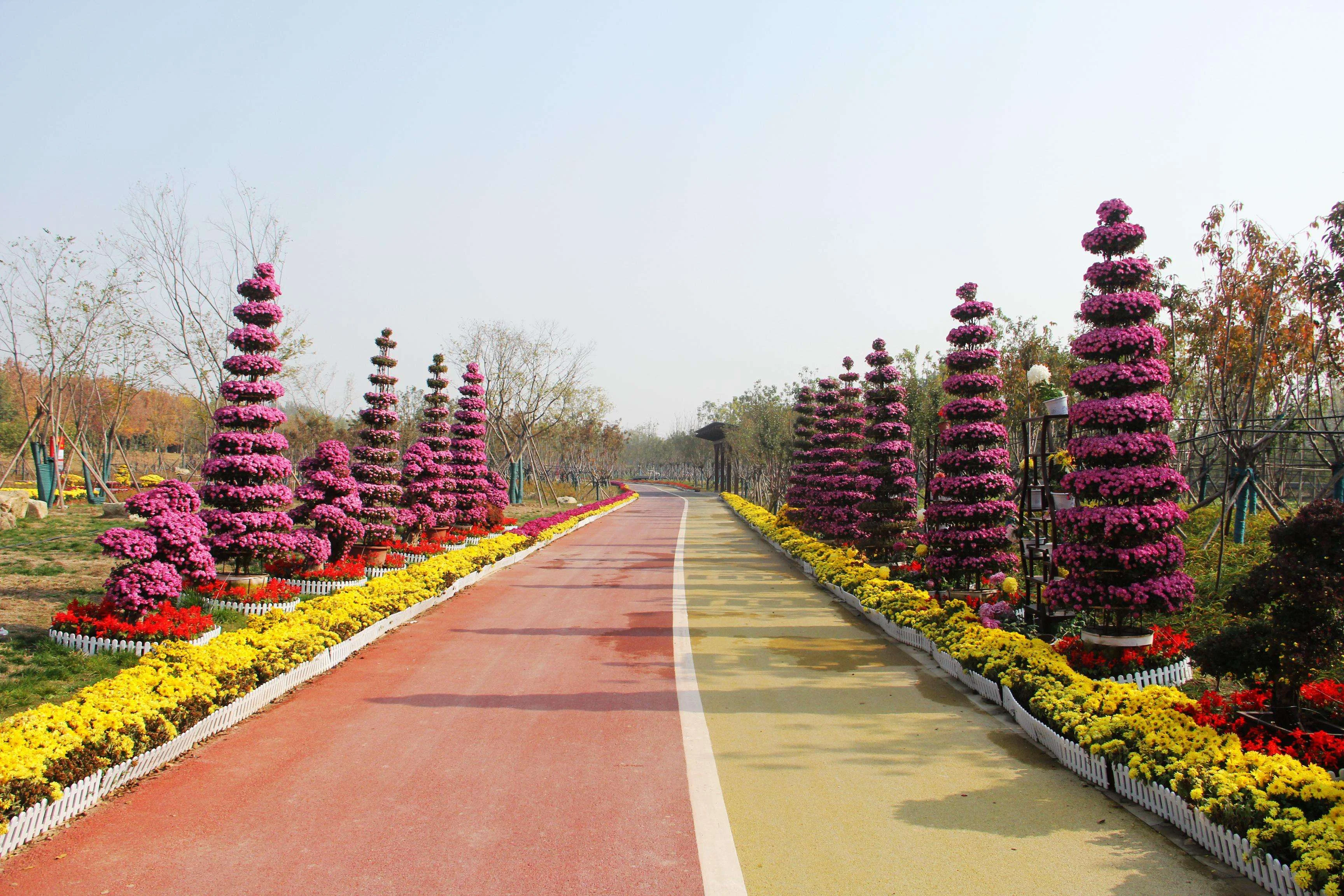 河南開封彩色漫步道