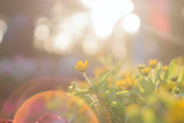 汗水淋漓，烈日下的核酸檢測(cè)