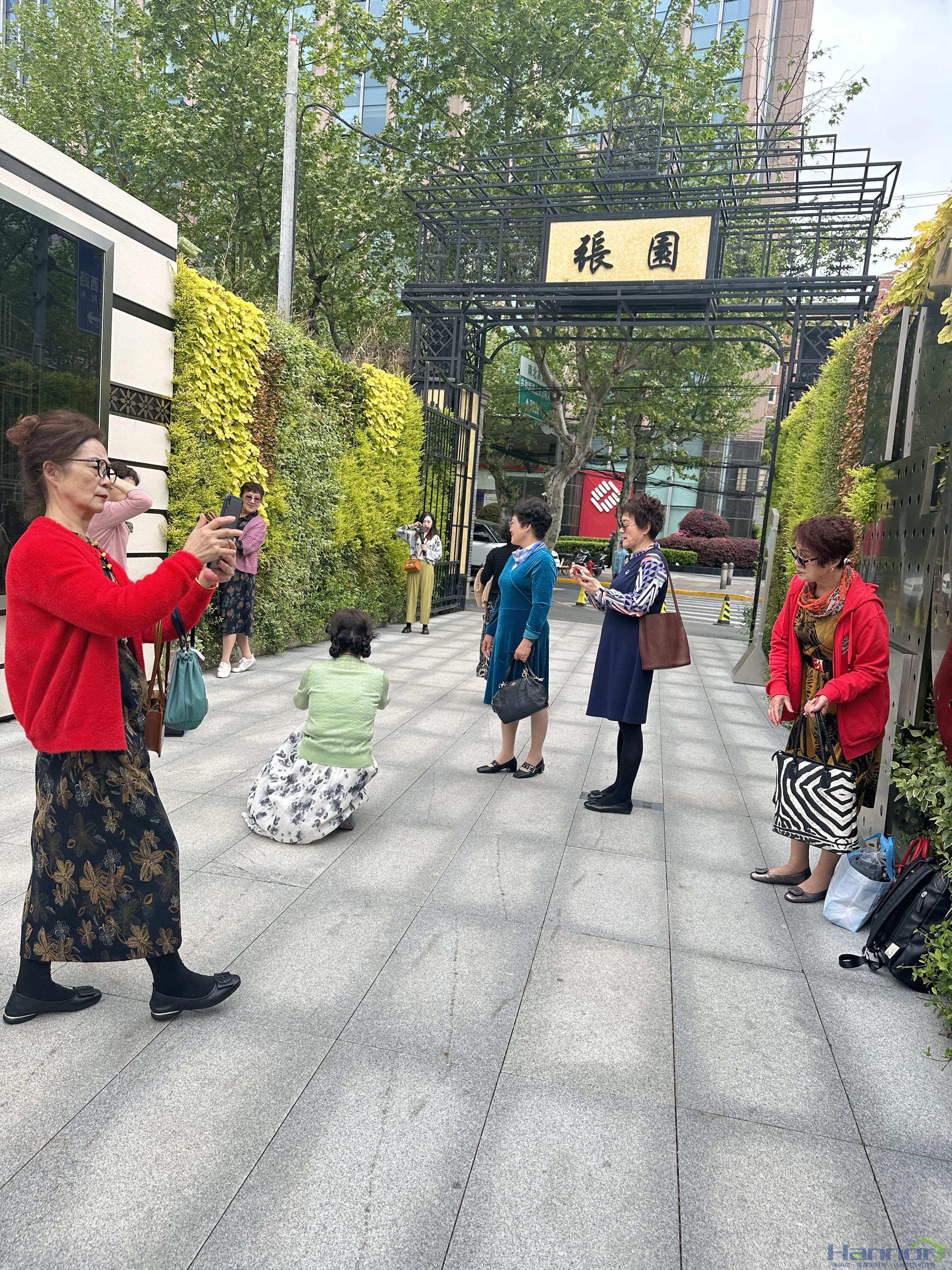 绿野蔓生，，，，，，探秘百年张园的绿意神秘